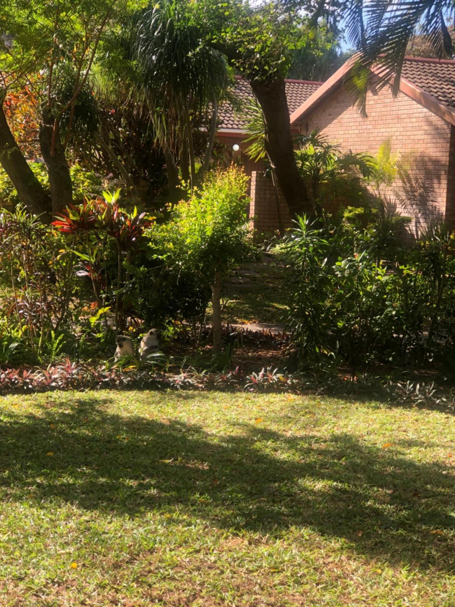 Villa El Seuno De Africa -The Dream Of Africa Saint Lucia Estuary Exterior foto