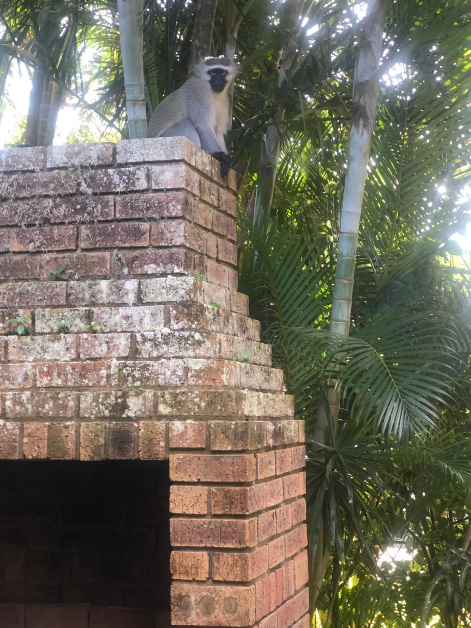 Villa El Seuno De Africa -The Dream Of Africa Saint Lucia Estuary Exterior foto